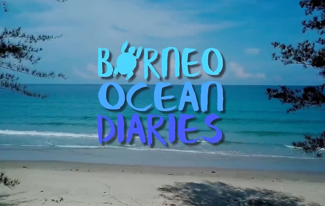 Borneo Ocean Diaries, streaming now on Ecoflix