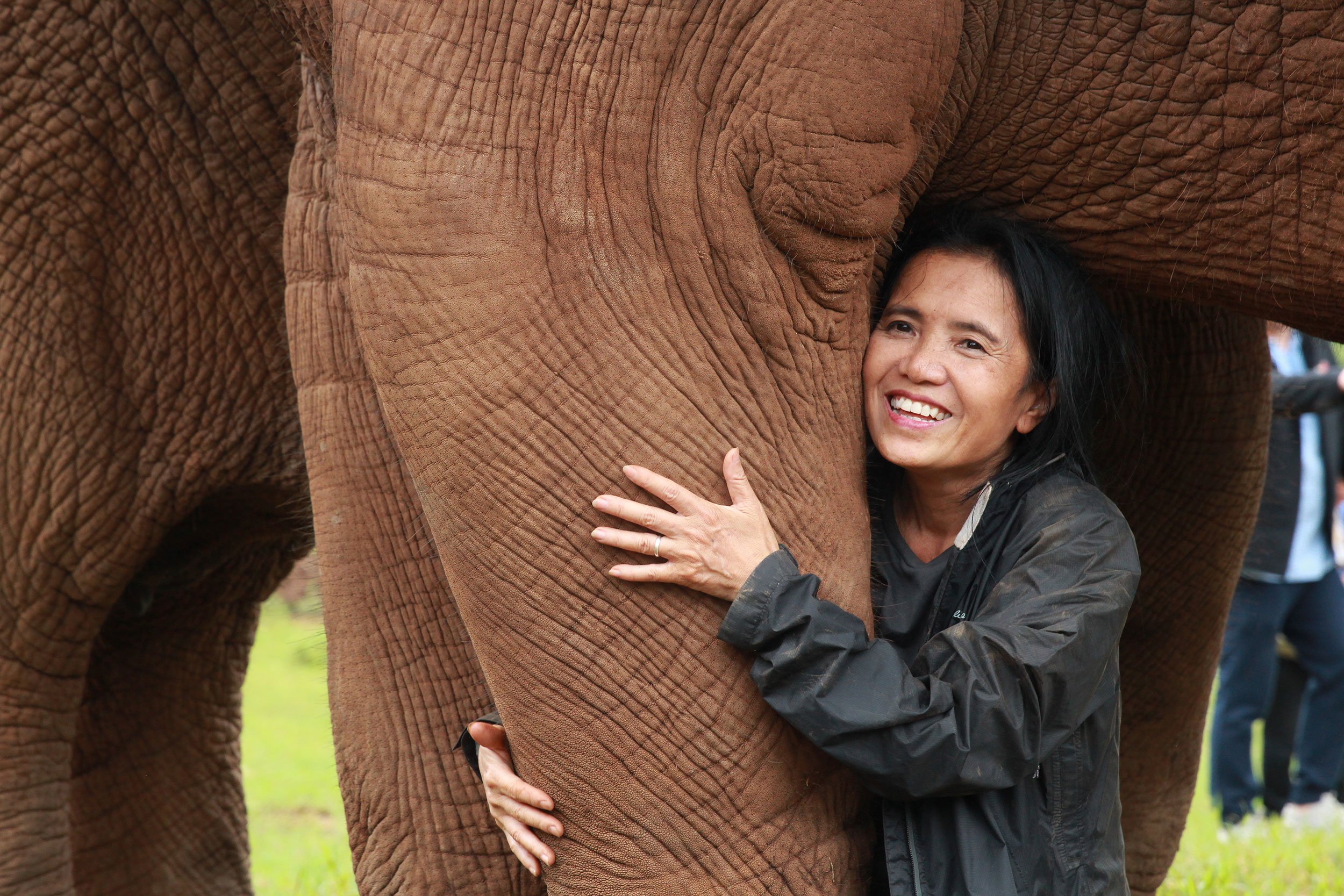 Lek Chailert, elephant activist, her story