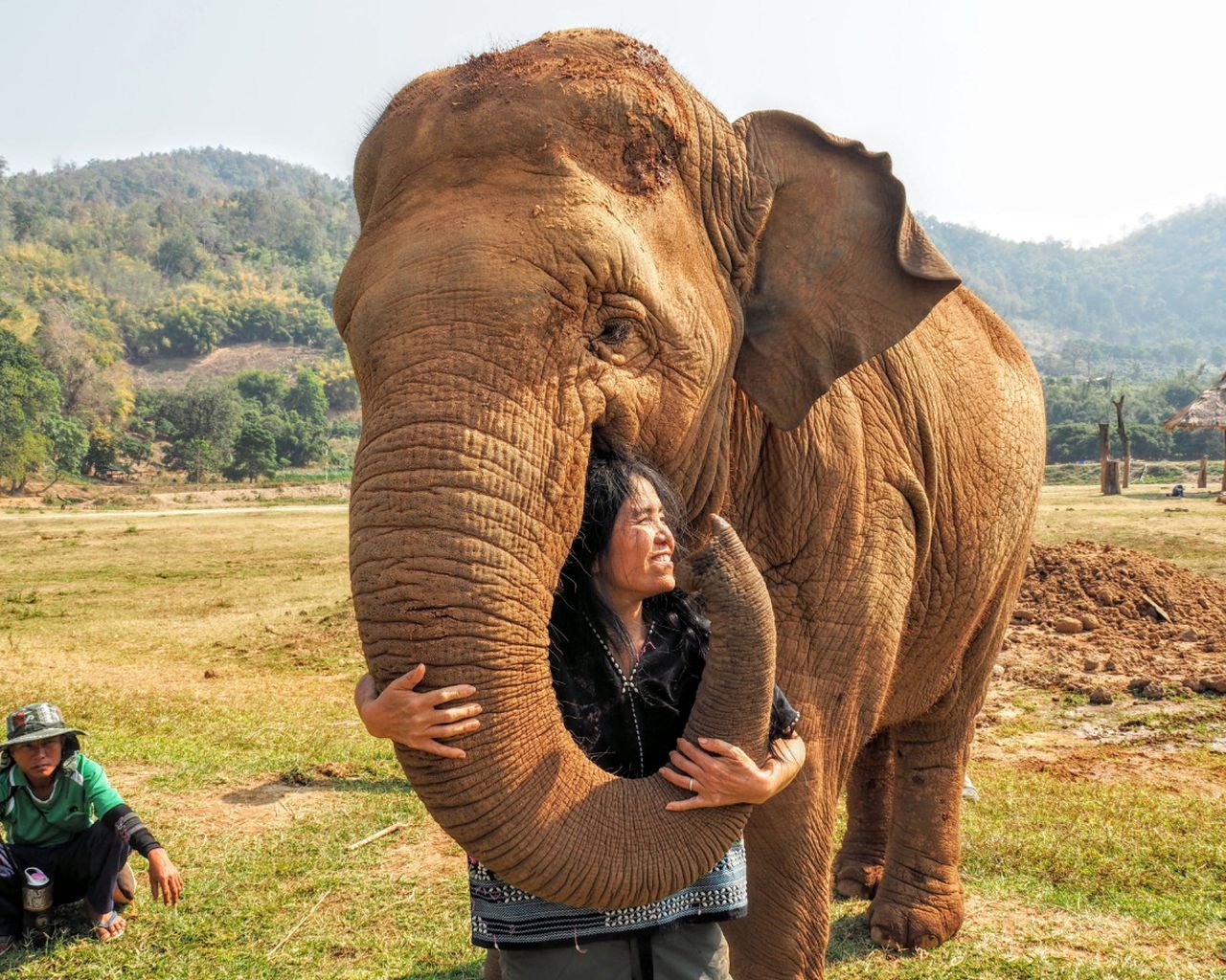Lek Chailert, founder of Elephant Nature Park