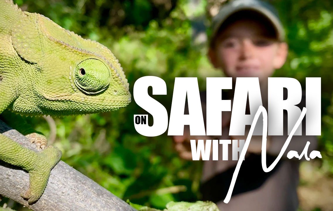 On Safari With Nala, streaming on Ecoflix