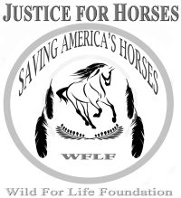 WFLF-Medicine-wheel_LOGO_JUSTICE-FOR-HORSES_900W